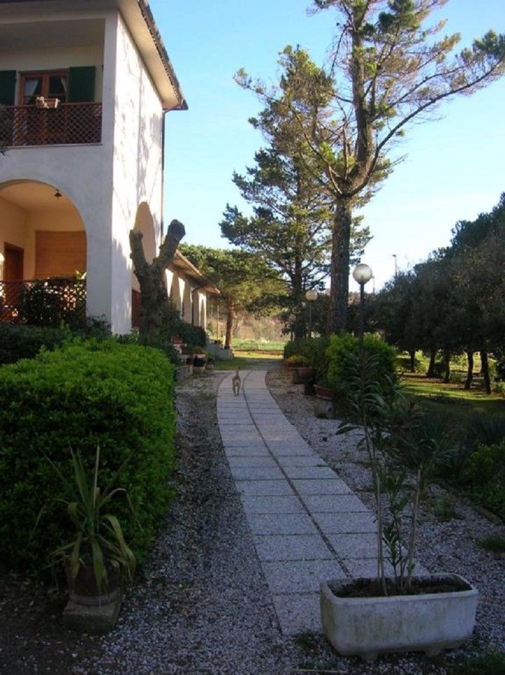 Hotel Il Poggetto Castellina Marittima Eksteriør bilde